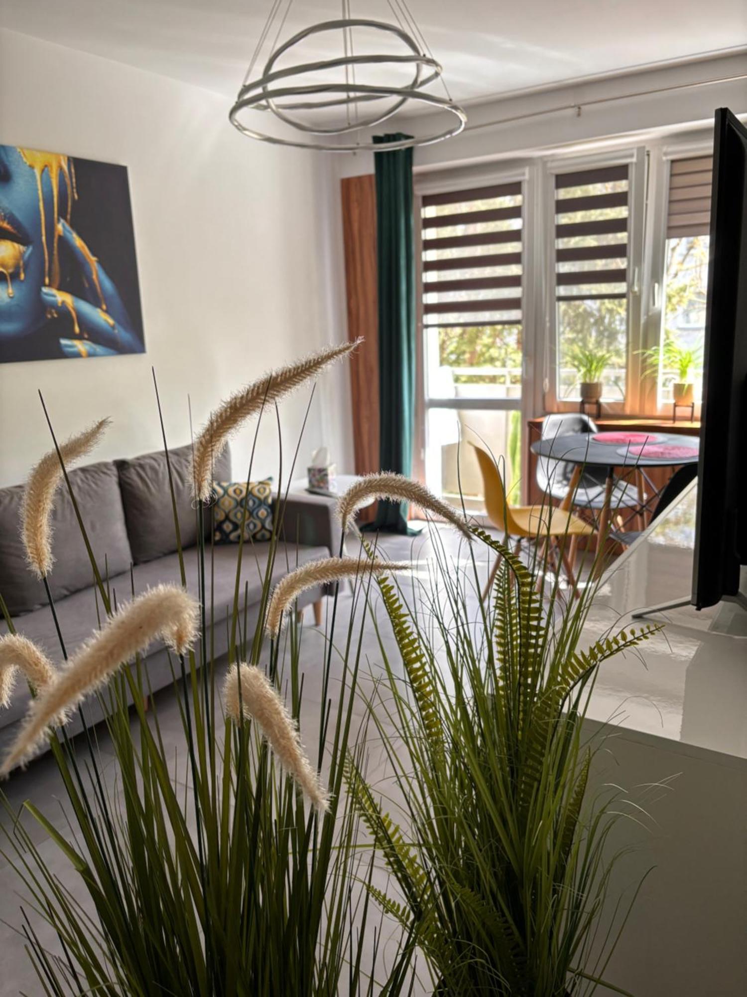 Apartament Teresa Nysa Exterior foto